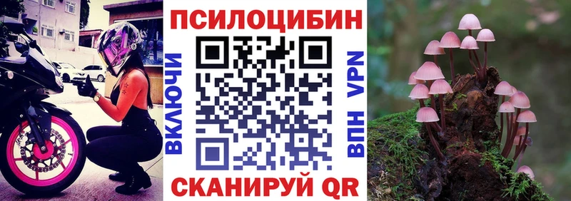 Псилоцибиновые грибы Psilocybine cubensis  купить  сайты  Муравленко 